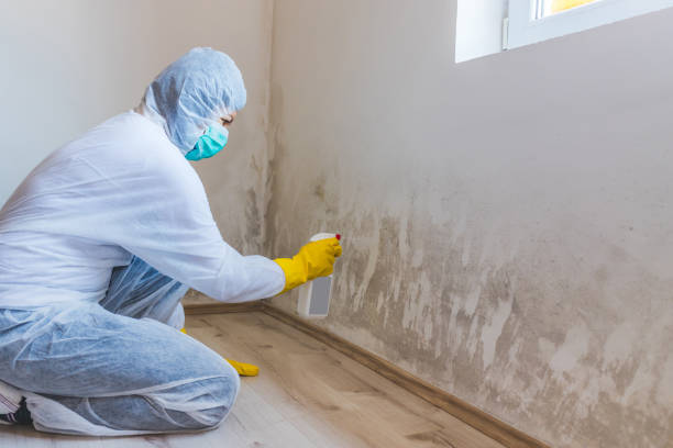 Hvac And Air Duct Mold Remediation inspection of HVAC system in Darlington